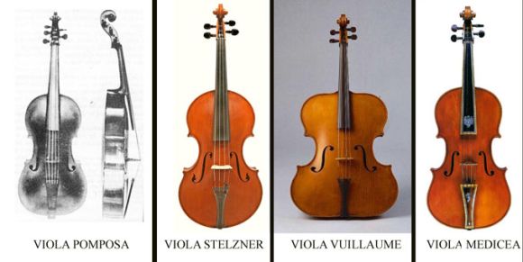 LA VIOLA