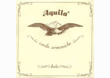 Aquila