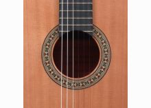 classical Spanish concert guitars