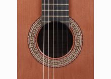 classical Spanish concert guitars