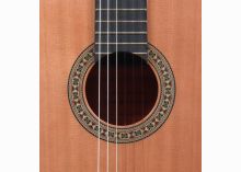 classical Spanish guitars