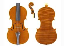 violin by ALESSANDRO SCANDROGLIO